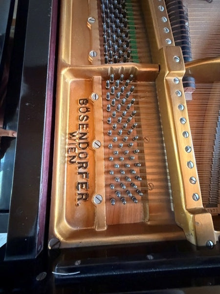 Flügel Bösendorfer kaufen gebraucht occasion musikbörse ricardo.ch