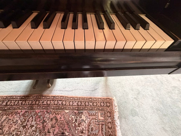 Flügel Bösendorfer kaufen gebraucht occasion musikbörse ricardo.ch
