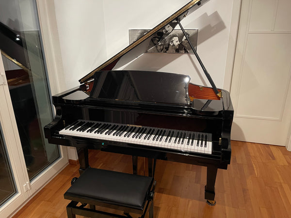 Flügel W. Hoffmann Modell Tradition 161 kaufen gebraucht occasion musikbörse ricardo.ch