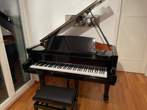 Flügel W. Hoffmann Modell Tradition 161 kaufen gebraucht occasion musikbörse ricardo.ch