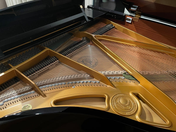 Flügel W. Hoffmann Modell Tradition 161 kaufen gebraucht occasion musikbörse ricardo.ch