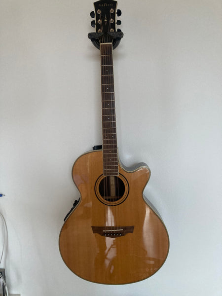 Westerngitarre Parkwood PW-570 kaufen gebraucht occasion musikbörse ricardo.ch
