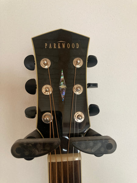 Westerngitarre Parkwood PW-570 kaufen gebraucht occasion musikbörse ricardo.ch
