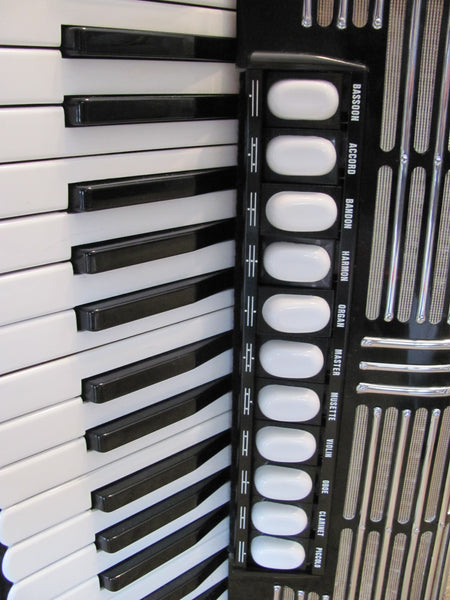 Tastenakkordeon Hohner Morino IV S Champion Cassotto kaufen gebraucht occasion musikbörse ricardo.ch