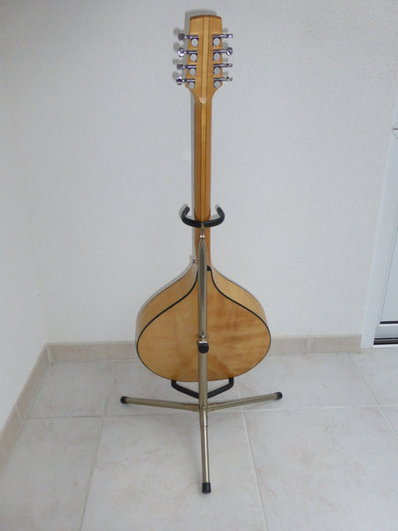 Oakwood Bouzouki/Mando-Cello kaufen gebraucht occasion musikbörse ricardo.ch