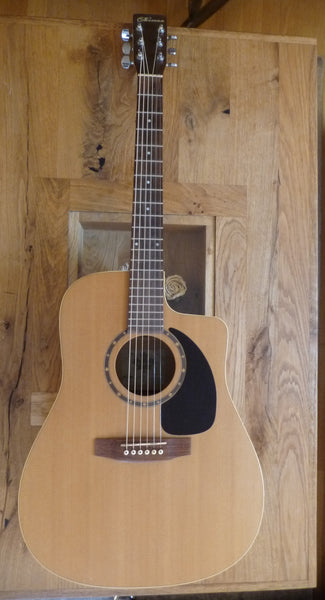 Westerngitarre Norman B20 CW kaufen gebraucht occasion musikbörse ricardo.ch