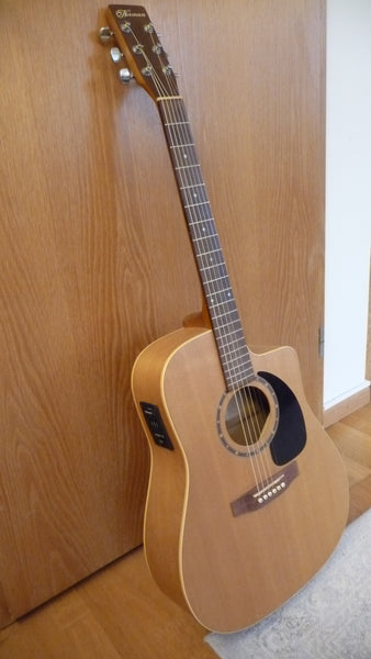 Westerngitarre Norman B20 CW kaufen gebraucht occasion musikbörse ricardo.ch