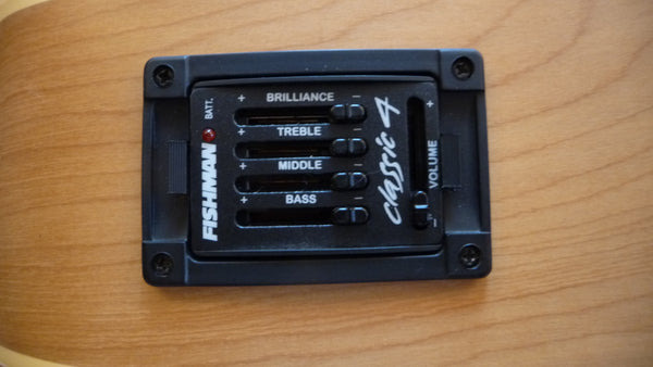 Westerngitarre Norman B20 CW kaufen gebraucht occasion musikbörse ricardo.ch