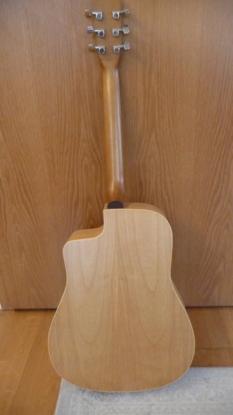 Westerngitarre Norman B20 CW kaufen gebraucht occasion musikbörse ricardo.ch