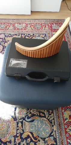 Panflöte Primul Alt-Stimme kaufen gebraucht occasion musikbörse ricardo.ch