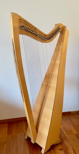 Klappenharfe Manual 99 kaufen gebraucht occasion musikbörse ricardo.ch