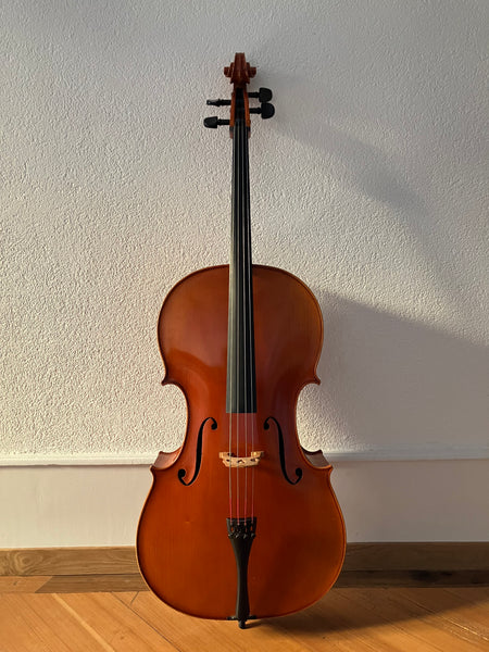 Violoncello Joseph Schuster kaufen gebraucht occasion musikbörse ricardo.ch
