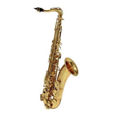 Tenorsaxophon C.G. Conn TS-650 kaufen gebraucht occasion musikbörse ricardo.ch