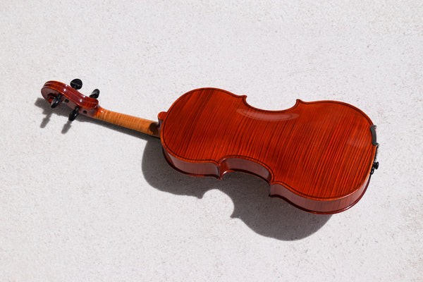 Schweizer Violine Senn kaufen gebraucht occasion musikbörse ricardo.ch