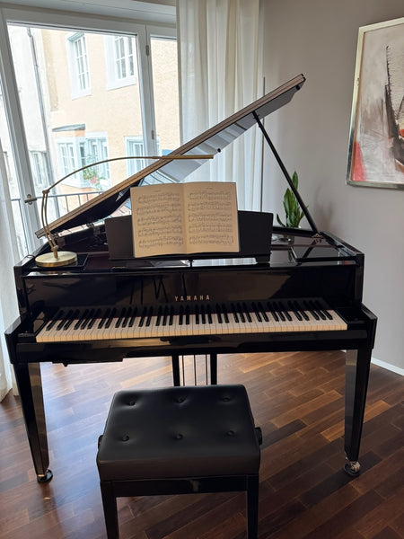 Hybrid-Piano Yamaha N3X AvantGrand kaufen gebraucht occasion musikbörse ricardo.ch