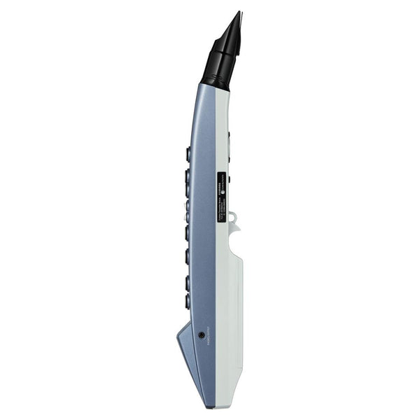VERKAUFT Roland Aerophone mini AE-01