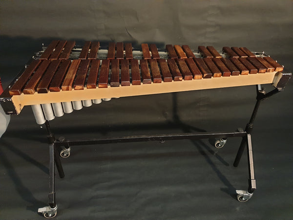 Xylophon Studio 49