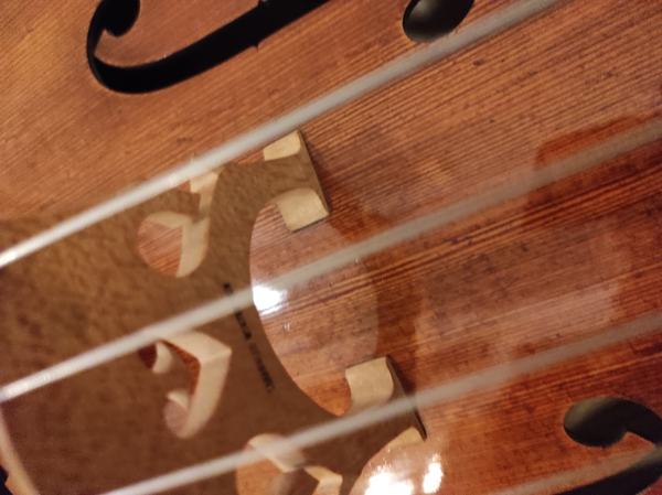 Meistercello kaufen Occasion Gebraucht Musikbörse Maciej Lacek