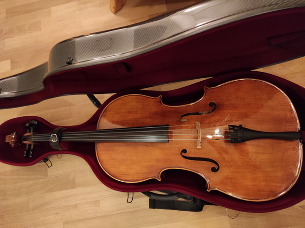 Meistercello kaufen Occasion Gebraucht Musikbörse Maciej Lacek