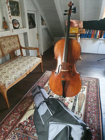 Violoncello August Meinel kaufen Musikbörse Occasion