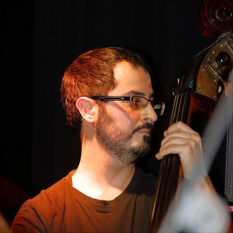 Kontrabassunterricht Basel - Kontrabasslehrer aus Basel Federico