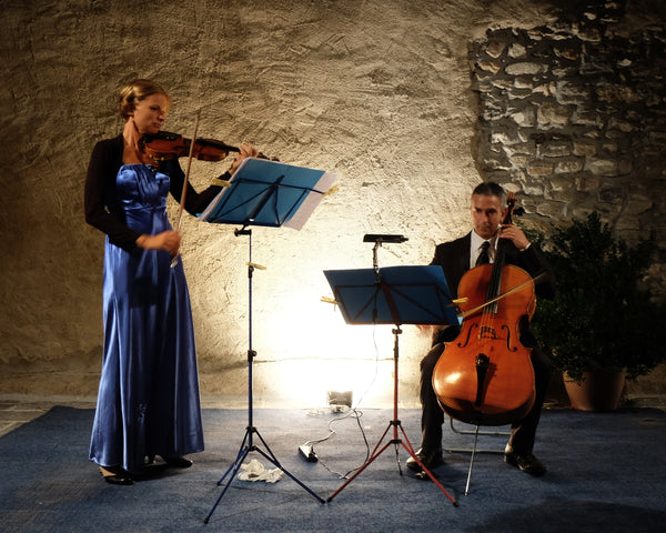 Violinistin Barbara Krüger/DuoJig