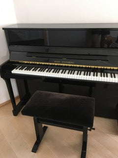 Klavier Wilhelm Steinberg gebraucht ocassion musikbörse instrumentenbörse