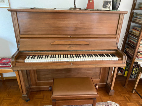 Klavier Lipp & Sohn kaufen gebraucht occasion musikbörse ricardo.ch