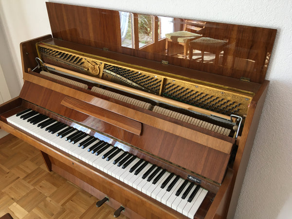 Klavier Euterpe E 105 kaufen gebraucht occasion musikbörse ricardo.ch