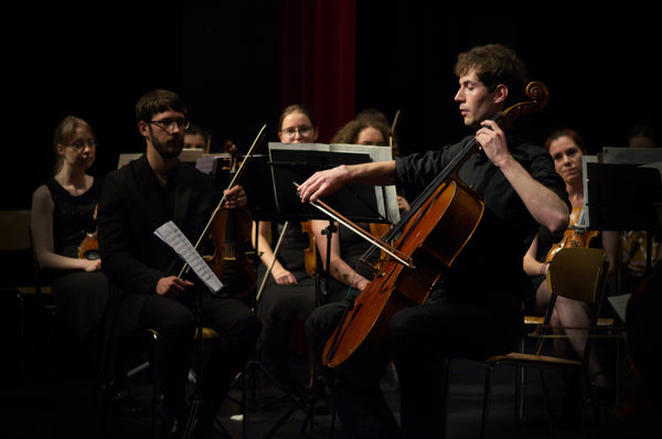Cellounterricht Fribourg - Cellolehrer aus Fribourg
