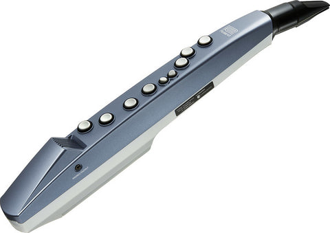 VERKAUFT Roland Aerophone mini AE-01