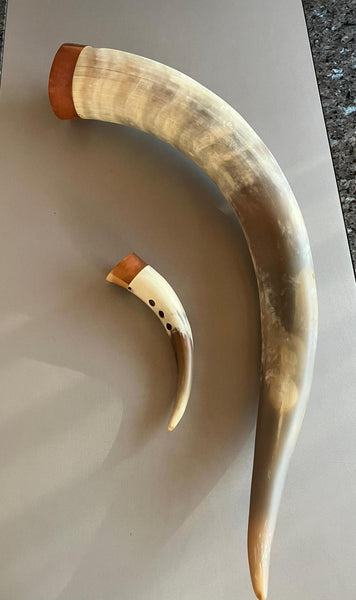 VERKAUFT Gämshörner (7 Instrumente)
