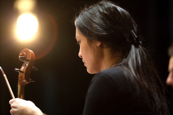 <div style='display:none;'>'</div>Meilen / Zürich / Online - Anna unterrichtet Viola, Violine und Kammermusik