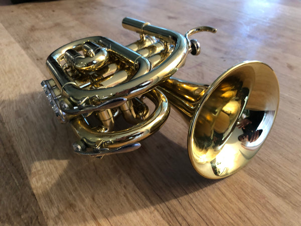 Kurztrompete Star line Occasion gebraucht kaufen musikbörse ricardo.ch