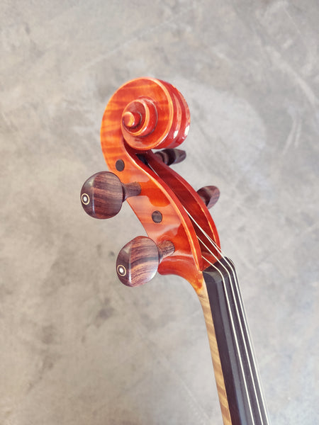 Violine Jacek Krupa